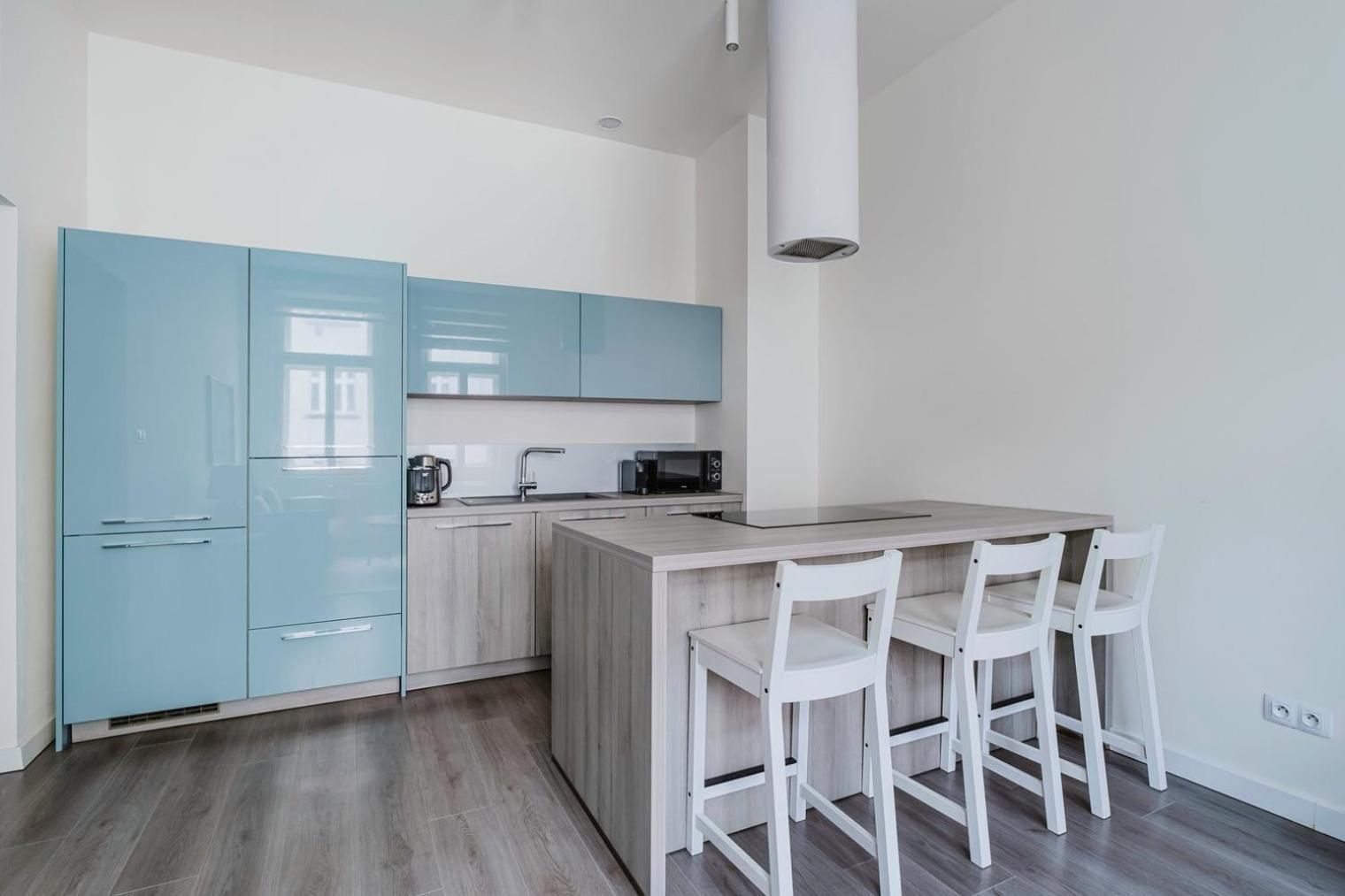 Blueground Zizkov Renovated Nr Universities Prg-35